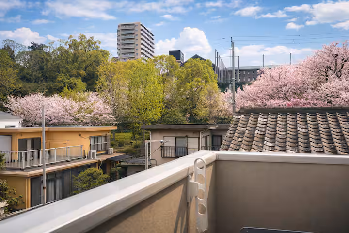 夏至 Geshi 实景照片